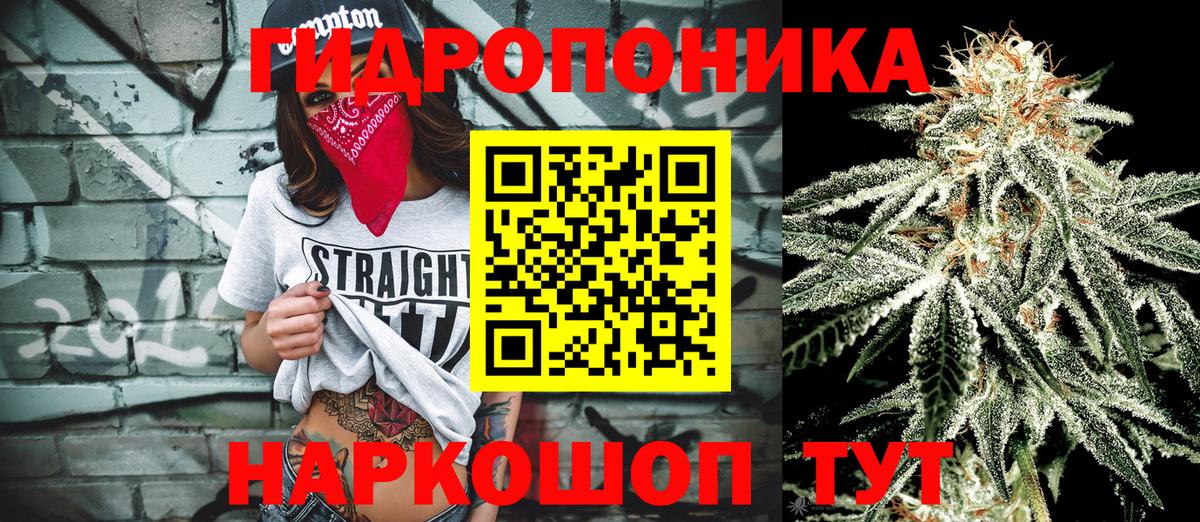 Выкса  Бошки Шишки ГИДРОПОН  Каннабис VHQ  Вход с VPN  Шишки марихуана SATIVA & INDICA 